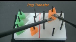FLS_Peg Transfer