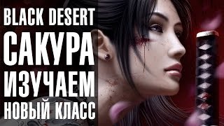 Black Desert - Сакура. Стрим обзор нового класса Black Desert