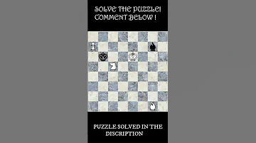 SOLVE THE PUZZLE SHORTS 