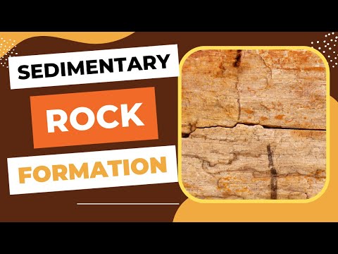 Sedimentary Rock Formation | Weathering, Erosion, Deposition, Compaction & Cementation