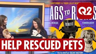 Wags to Riches Fundraiser on Montana This Morning