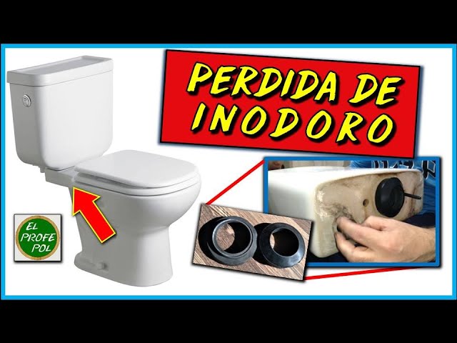 Razones por las que separar la zona del inodoro del baño es una idea  fantástica - Foto 1