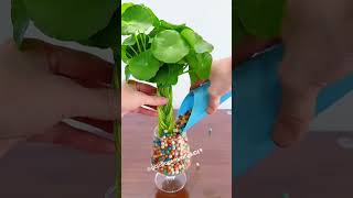 Plastic Bottle Se Vertical Garden Hack! Unlimited Plant Growth.🌴 #lifeisbutadream