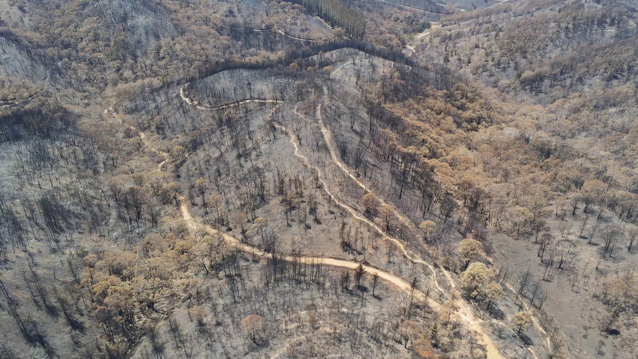 CUDLEE CREEK bushfire