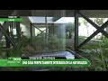 Andalucía Directo | Una casa tan integrada en la naturaleza que parece 'volar' sobre el bosque