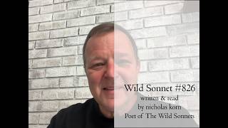 Poetry Reading | Wild Sonnet No. 826
