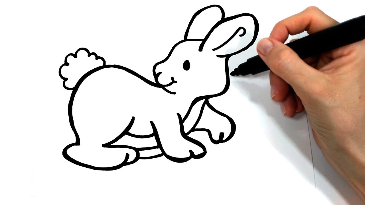Como Dibujar Un Conejo Youtube