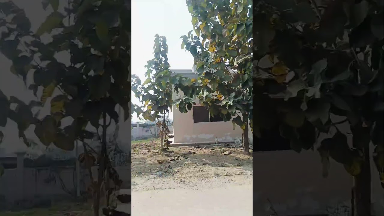 Future Lab Technician in making – Basti Medical College 🧪✨”“White coat, big dreams, Basti Medical