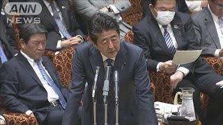 野党が“一斉休校”追及　総理は「先手先手で」強調(20/03/02)