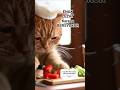 Masih Aje Lupa Bersyukur #ai #Tumbuhkembang #Asamgaram #happy #cats #funnyshorts #catshorts