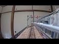 【Nゲージレイアウト】車載カメラ前面展望(11)全線走破(その2)