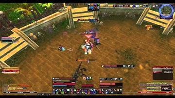 Blutfürst Mandokir Patch 4.1 heroisch Guide Deutsch HD