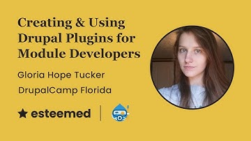 Creating and Using Plugins as a Module Developer