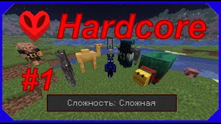 видео: Начало хардкора. #1 Minecraft прохождение. Hardcore. Пройти все достижения. картинка: Начало хардкора. #1 Minecraft прохождение. Hardcore. Пройти все достижения.