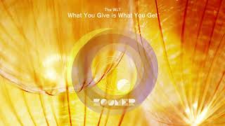 The Wlt - What You Give Is What You Get