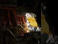 late nite grill