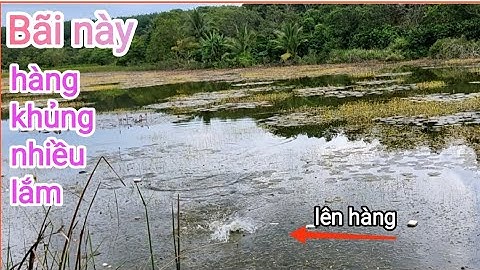 Câu cá lóc_Bãi mới ai nhìn thấy cũng ghiền @Hữunghị tv