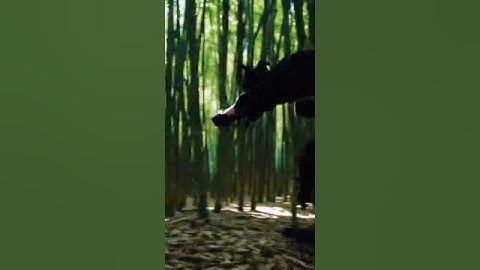 AI Generated Samurai and Ninja Batch