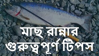 মাছ রান্নার সময় এই টিপসগুলি মনে রাখেবন | easy fish cooking tips in bangla | B2U Tips