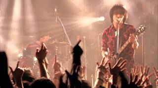 BURNOUT SYNDROMES 『2016秋・全国ワンマンツアー@SHIBUYA CLUB QUATTRO』ダイジェスト映像