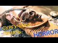 Сургучная печать в стиле Horror своими руками (Making a wax seal in the style of horror)