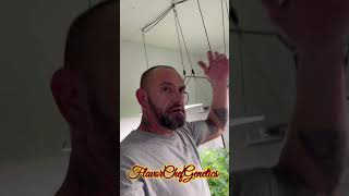 Grow Monster indoor plants EASY using LEDs and homemade Organic SuperSoil 4 most delicious results?