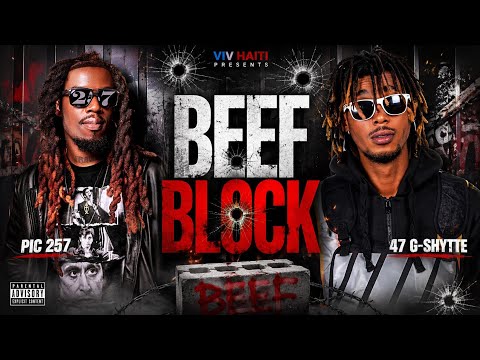 BEEF BLOCK - PIC 257 X 47 G- SHYTTE (VIV HAITI)