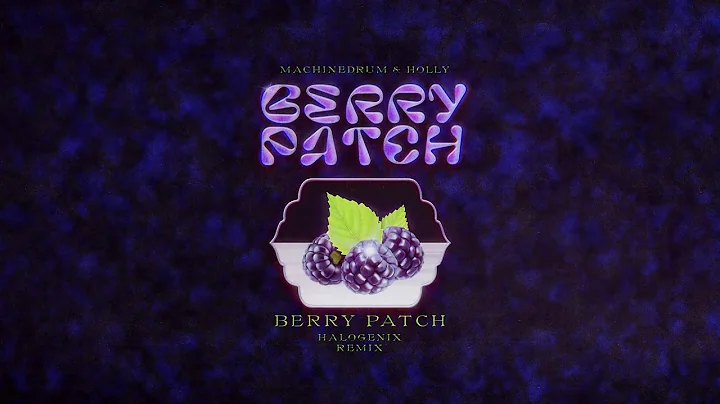 Machinedrum & Holly - Berry Patch (Halogenix Remix)