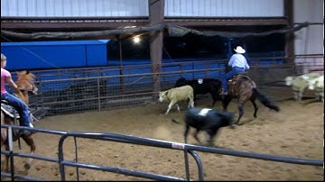San Olena Quixote - 4/11/12 sorting practice 3 - Valley View Ranch