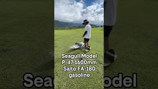 Seagull Model P-47 1600mm Saito FA-180 Gasoline Landing fail💥#福德航協 #福德遙控飛行場#rcplane  #drone