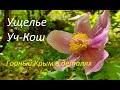 Ялта. Купель в ущелье над городом