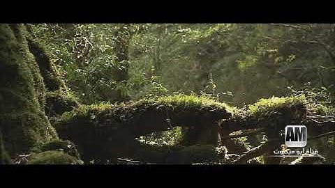 وما اصابكم يوم التقى الجمعان   تلاوة نادرة