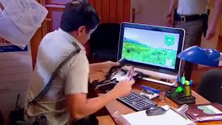 pobre gallo capitulo 55