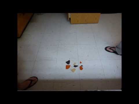Algorithms and the Case of the Unsorted Chips