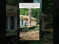 A Tree Trunk Falls – How a Skillful Cut Creates Safety and Control #usa #shorts