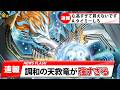 【#遊戯王】ハルモニアってぶっちゃけ強い?ハルモニアを投げつけまくるフリー対戦【#金曜日の遊戯王CH】