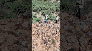 Llenándonos de ENERGIA COSMICA #exploracion #ruinas