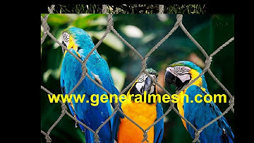 Generalmesh aviary mesh,aviary cage mesh,Aviary Net Zoo Structure，Aviary Mesh,Bird Control Netting