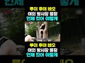 [PandaTV] 루이 후이 바오, 야외 방사장 등장... 언제 컸어 이렇게