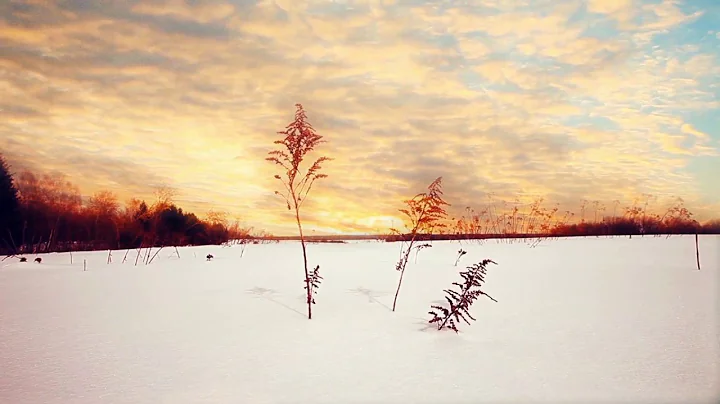 Tanya Tagaq - Nacreous