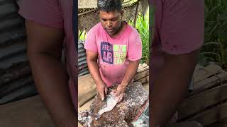 Amazing😱😱😱 professional thilapia fish cutter #trending #viralvideo