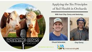 Applying the Six Principles of Soil Health in Orchards