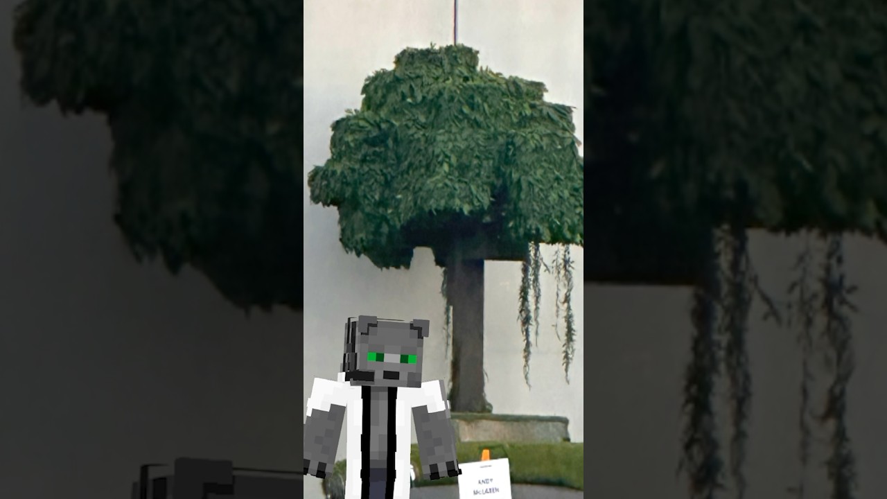🌳 Captan ÁRBOL de #Minecraft REALISTA!