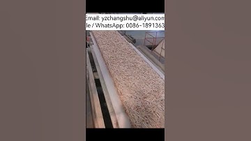 Customized 300000 CBM/Y OSB Continuous Press Production Machine Line