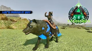 RAGNAROK Eps 32 The S-Direwolf is awesome!
