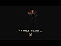 MY VOICE Visavis DJ Official Music Video 