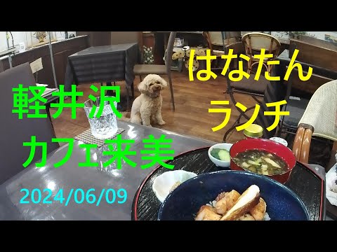 軽井沢 カフェ来美、ワンちゃん店内OK