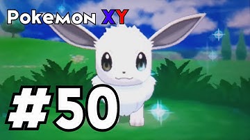 Pokemon X: Shiny Eevee after ??? Wild Encounters in the Friend Safari!