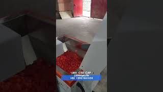 compression molding machine price #cap #machine #factory #manufacturing #capping machine#bottle cap