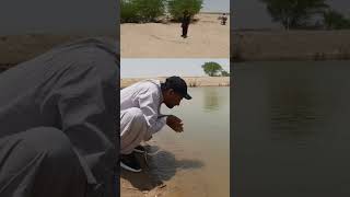 Desert Life In Pakistan